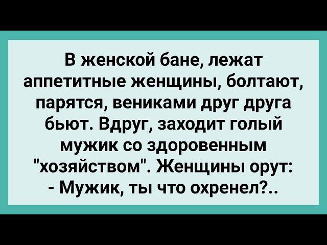 Мужик в Женской Бане! Сборник Свежих Смешных Жизненных Анекдотов!