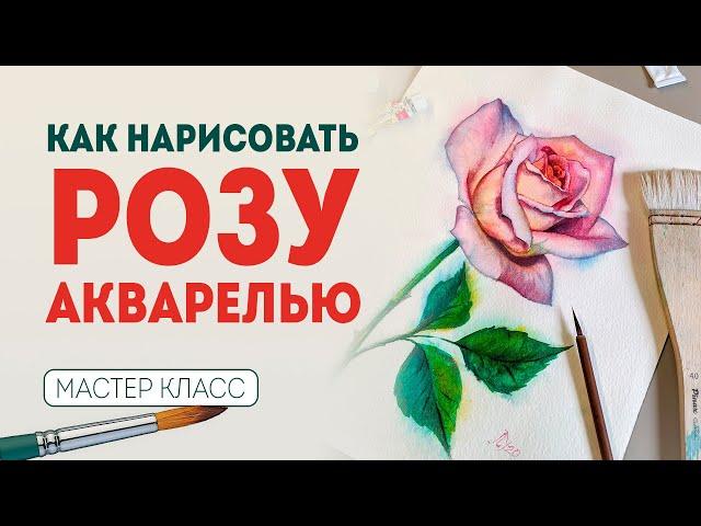 КАК НАРИСОВАТЬ РОЗУ? Цветы акварелью - мастер класс по рисованию.