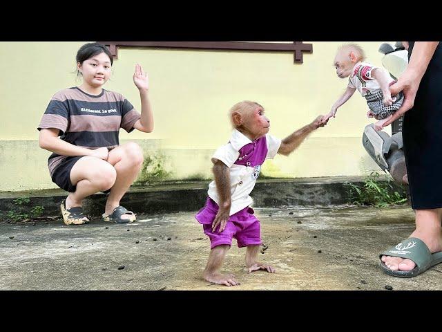 So Lovely! Bibi and baby monkey said goodbye in tears