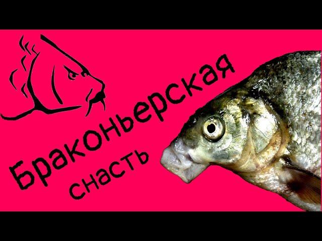 Браконьерская снасть 2021!!!!ТОТ САМЫЙ СЕКРЕТ ВОЛШЕБНОЙ СНАСТИ ! Как быстро наловить рыбы