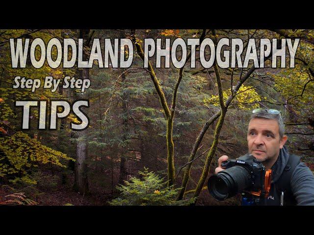 STEP BY STEP TIPS ON WOODLAND PHOTOGRAPHY | LANDSCAPE PHOTOGRAPHY | NEW FOREST