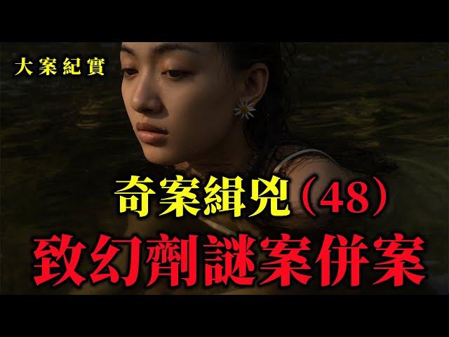奇案緝兇（48）碟中諜暗戰，精彩絕倫，大案紀實