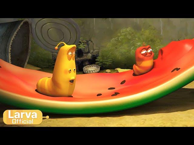 Summer Street Food  | Food Animation Compilation | Larva TUBA | Official