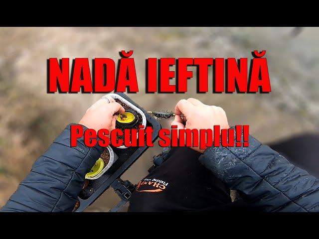 Nadă ieftină! Pescuit simplu!! Method Feeder 2022 (Iaz Frasin)