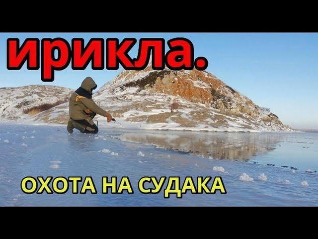 ИРИКЛА  Охота на судака