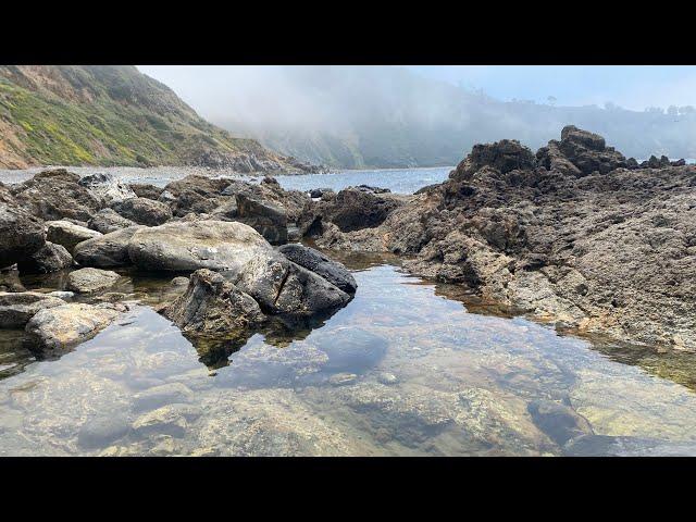 Bluff Cove Hiking Trail Palos Verdes California