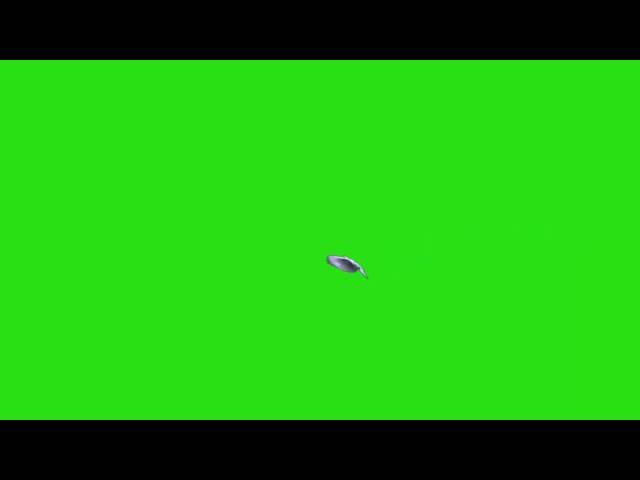  Футаж Голубь на хромакей(Footage Of Pigeon)