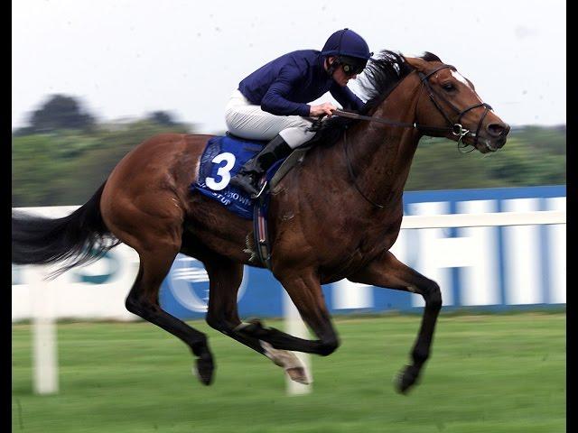 Galileo - Irish Derby (2001)