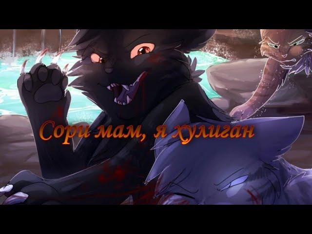 Клип Коты Воители Ветерок|CW Breezepelt| Песня "Сори мам, я хулиган" Black Cat𓃠