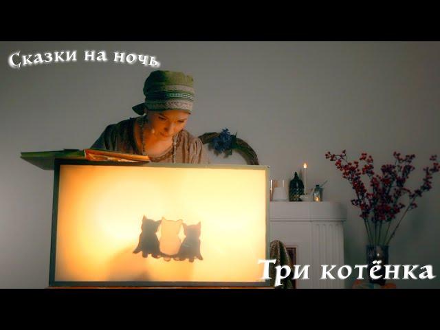 Три котёнка