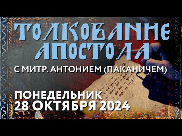 Понедельник, 28 октября 2024 года. Толкование Апостола с митр. Антонием (Паканичем).