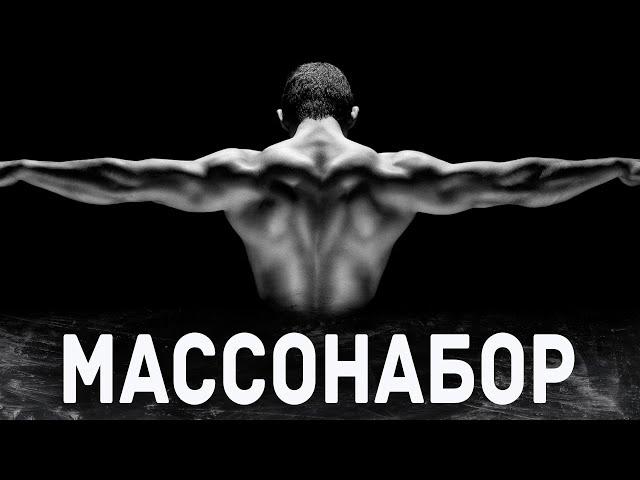 Набор мышечной массы - профицит, норма белка, тайминги приема пищи