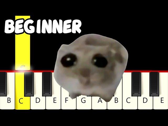 Sad Hamster Violin Meme  - Fast and Slow (Easy) Piano Tutorial - Beginner