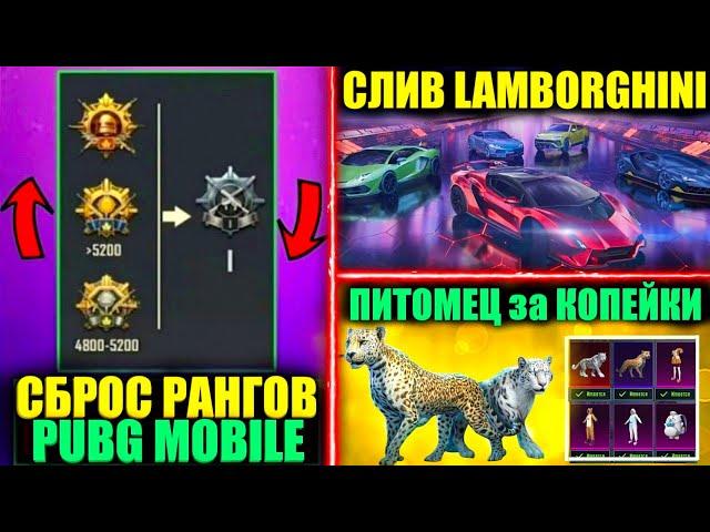 СБРОС РАНГОВ в PUBG MOBILE! LAMBORGHINI ВОЗВРАЩАЮТСЯ! ПРЕМИУМ КЕЙС! ПИТОМЕЦ за КОПЕЙКИ в ПУБГ МОБАЙЛ