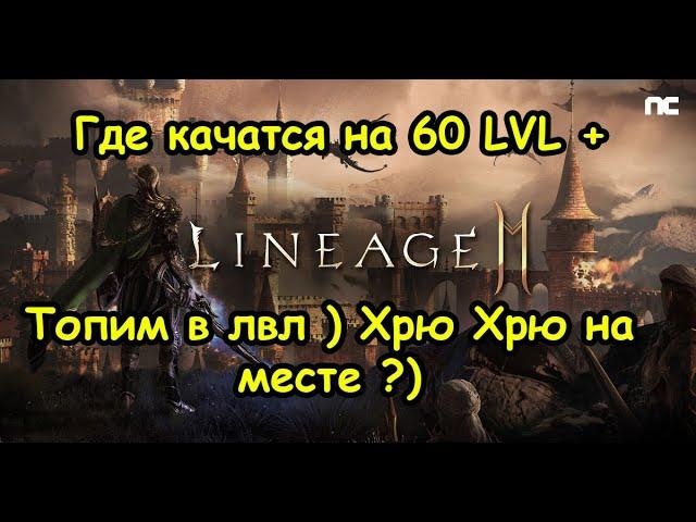 Lineage 2M Где качатся на 60 лвл  Гайд Топ Споты Для Фарма Что Фармить Где L2M