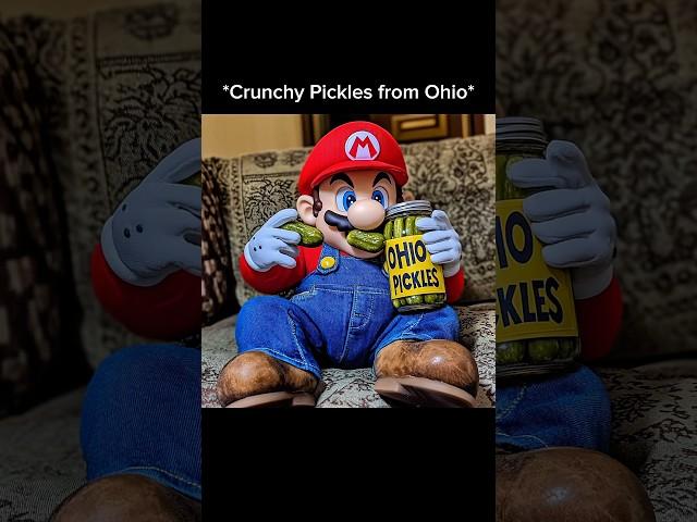 Delicious Pickles from OHIO (Ai Edition) No Brainer #vandallapp #aiart #chatgptart #memes