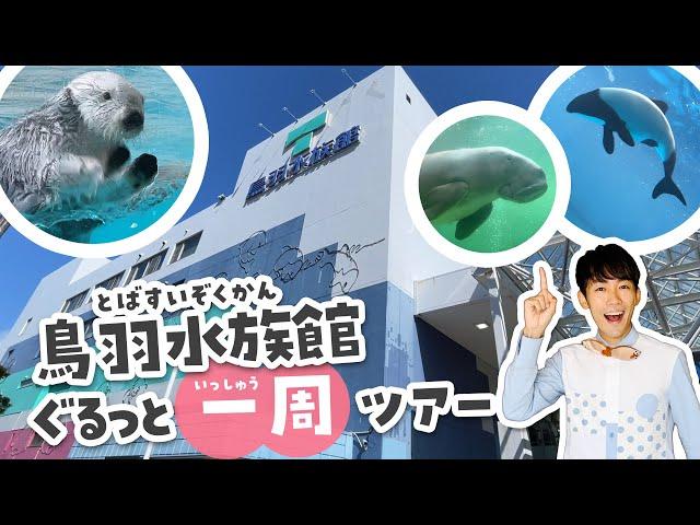 鳥羽水族館行く前に見て！100倍楽しくなる水族館ツアー （ラッコ・ジュゴン・イルカ）Toba aquarium japan