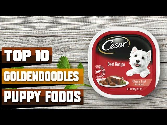 Best Dog Foods for Mini Goldendoodles in 2024 (Top 10 Picks)