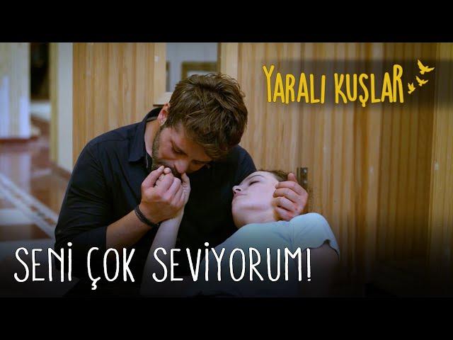 Seni Çok Seviyorum! | Yaralı Kuşlar 91. Bölüm (English and Spanish)