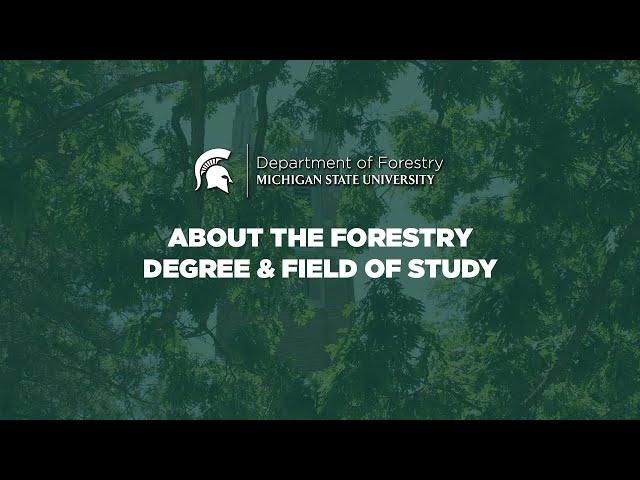 About the Forestry Degree and Field of Study