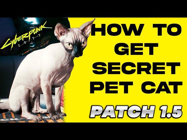 Cyberpunk 2077 : Secret PET CAT | How to Get it Very Easy