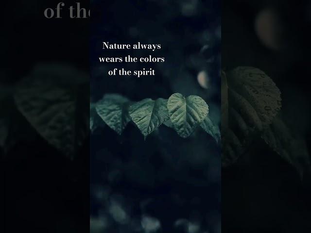 Nature always wears the colors of the spirit #naturelovers #nature #quotes