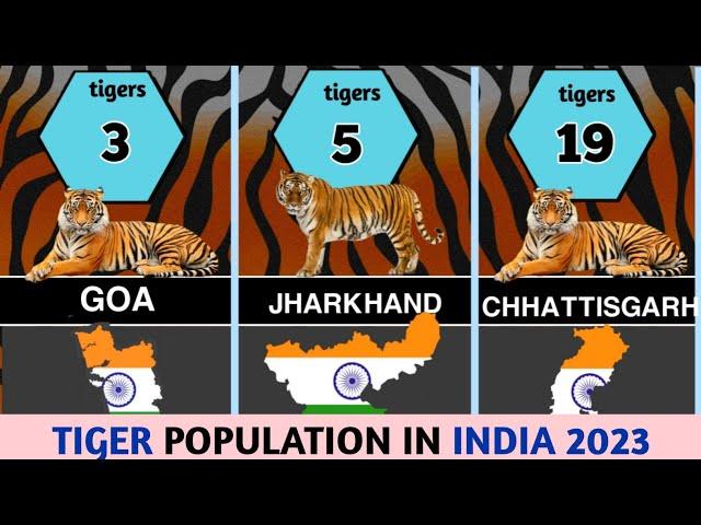 tiger population in india 2023 | #tiger #tigerpopulation