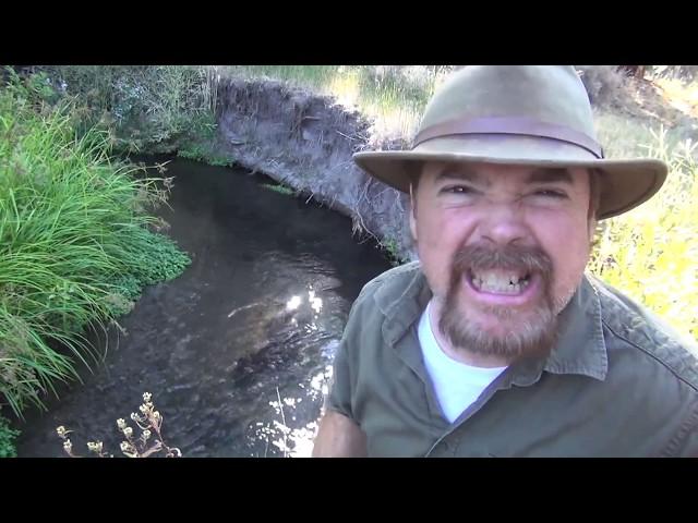 HOW to FIND GOLD |  In Rivers and Creeks - ask Jeff Williams