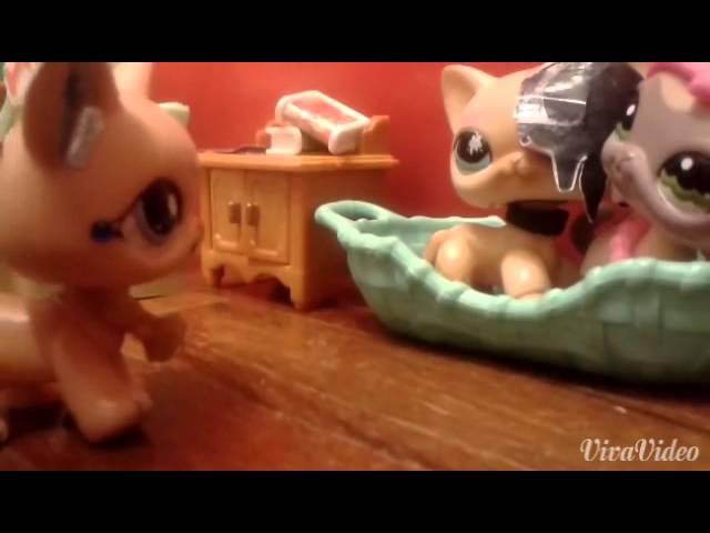 Littlest Pet Shop (LPS):"My Live is Love..."1 сезон 7 серия"Мама,ты что здесь делаешь?""