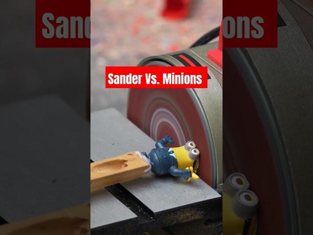 Sander meets the Minions  #experiment #satisfying #youtubeshorts #asmr #memes @AdrtechWildLife