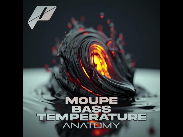 Moupe & Bass Temp - Anatomy