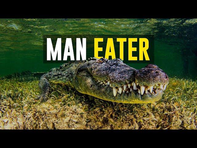 Gustave - The world’s most deadly crocodile