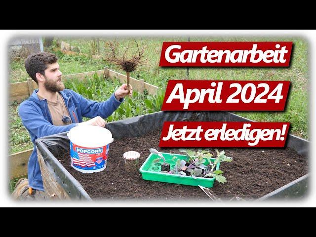 Gartenarbeit April | Erdbeeren & Kohlrabi, Lavendelschnitt, Gemüsegarten mit Hochbeeten