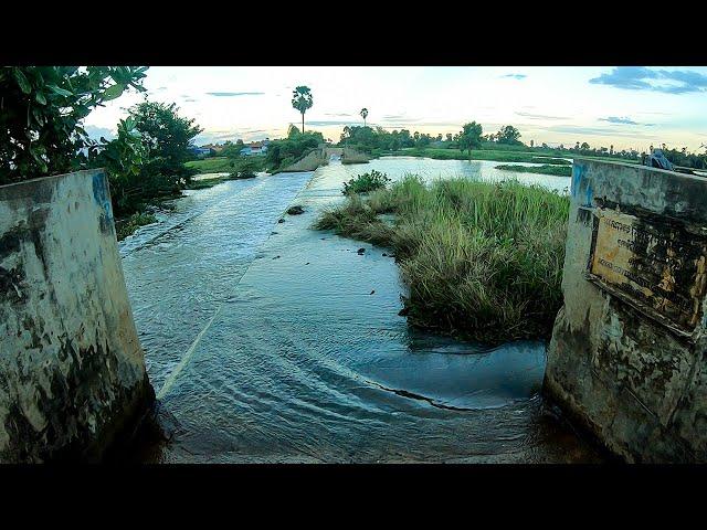 Remove Floating Plants Clogged Massive Dam Drain Water