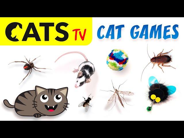 CAT TV  2025 Ultimate Compilation #02 🪳 Best games for cats in 4K