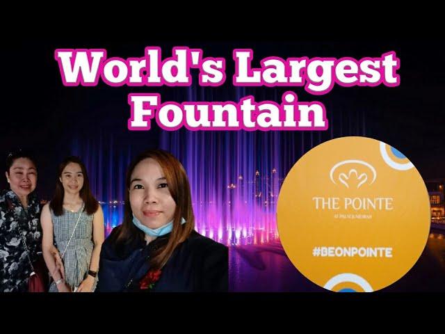 Vlog # 27 | The Palm Fountain | Wander Tinay 