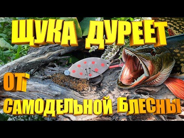 Это САМАЯ УЛОВИСТАЯ самодельная БЛЕСНА на щуку!!! Щука просто ДУРЕЕТ от этой блесны.