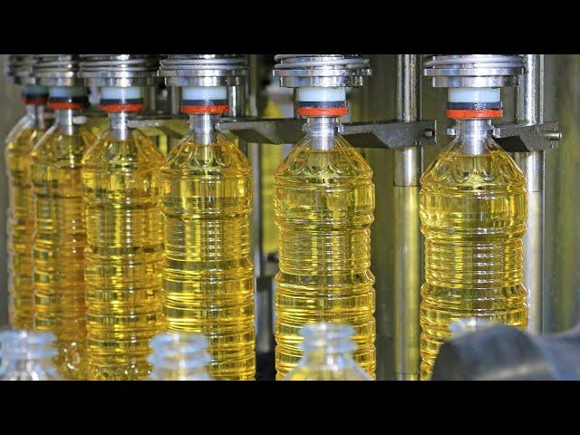 How Sunflower Oil Is Made? | Amazing SUNFLOWER OIL Factory