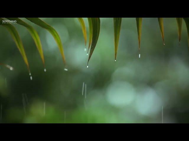 You & Me: Relaxing Piano Music & Soft Rain Sounds For Sleep & Relaxation