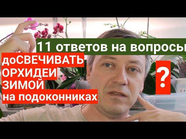 Досвечивать ОРХИДЕИ зимой на подоконниках НУЖНО или МОЖНО?