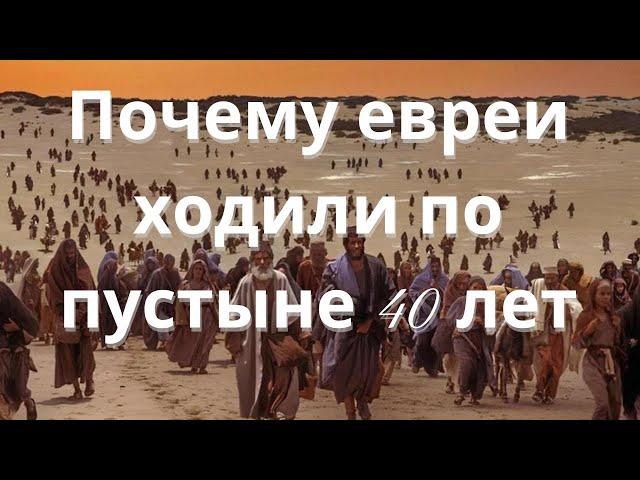 40 лет в пустыне. Раввин Реувен Смолькин