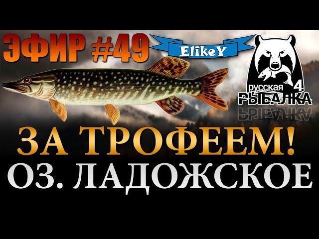 Трофейная Щука • Половим на Джеркбейт? • Фарм Серебра • Оз. Ладожское • Русская Рыбалка 4 • ЭФИР #49