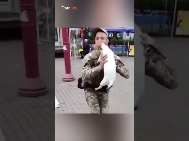 Вот что такое настоящее счастье - четырехлапый друг встречает своего хозяина с войны