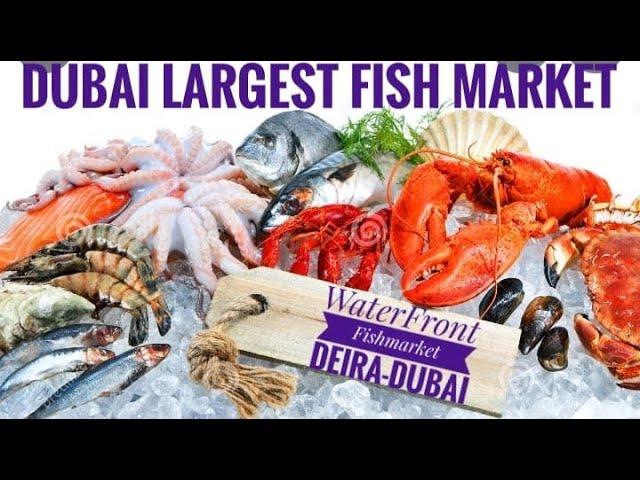 Waterfront Market | Deira Fish Market-Dubai ( Vlog 34 )