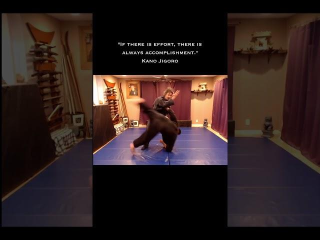 Takagi Yoshin Ryu, Ganseki Variation, #shorts #ninja #samurai #martialarts