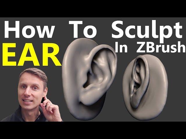 How To Sculpt The Ear In Zbrush