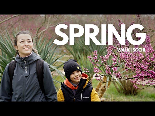 Blooming magnolia. Walk at Park South cultures | Sochi | Masha Lav