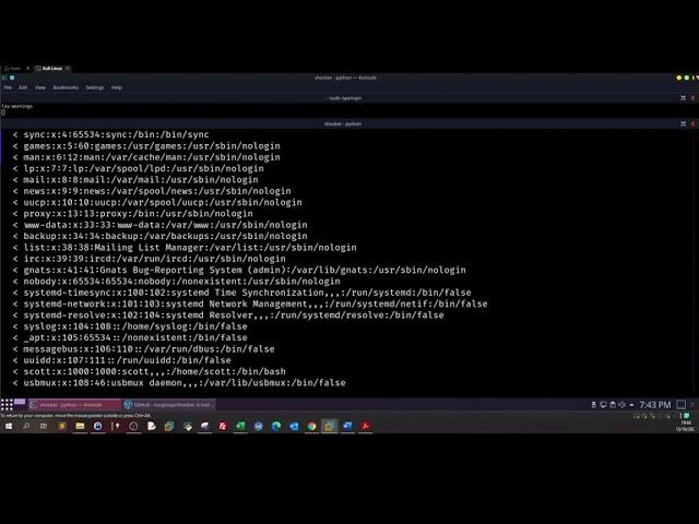 Demonstrating Web Application Vulnerabilities - Cyberseclabs Shock