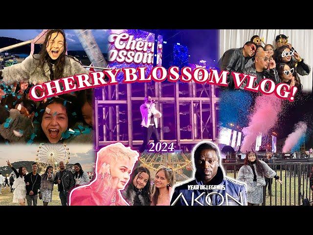 CHERRY BLOSSOM FESTIVAL 2024️Saw Akon live in Meghalaya|Boney M|Jessie L| Too much fun with the FAM