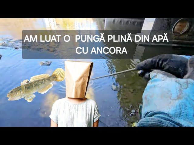 AM LUAT PEȘTE CU MAGNET-UL  O PUNGĂ DUBIOASĂ 🫣, 3 ANTIFURT-URI , SEIF ⁉️ #magnetfishing #romania